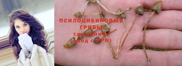 эйфоретик Армянск